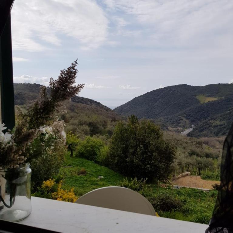 Cà Bartolomeo - Appartamento - Piano Terra - 1