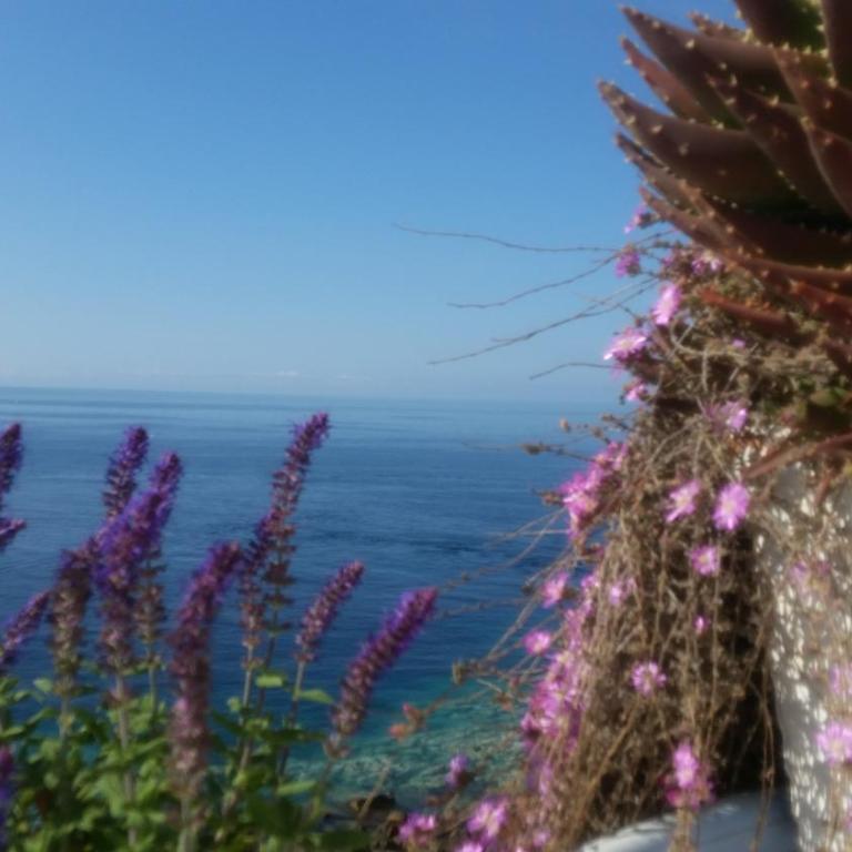 B&B Punta Cutieri - Camera Quadrupla con Vista Mare - 7