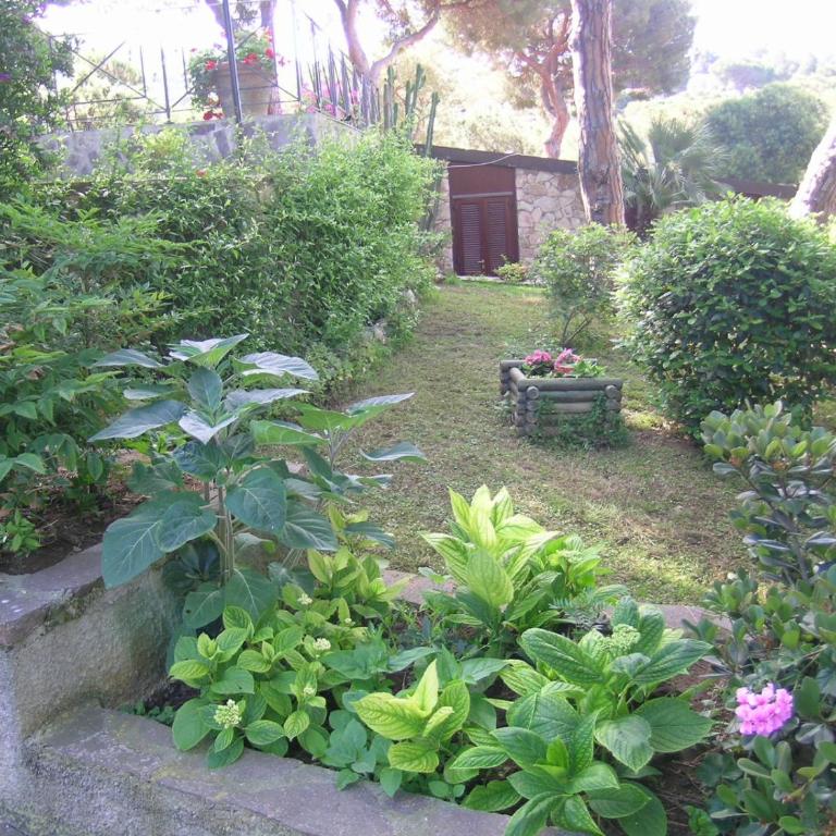 Villetta e Apt. Silvia by Agenzia SolturElba - Casa Vacanze - 3