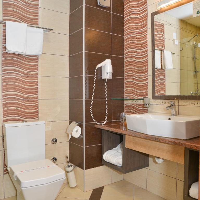 Hill Hotel Wellness & Spa - Dvokrevetna Soba sa Bračnim Krevetom/Zasebnim Krevetima - 6