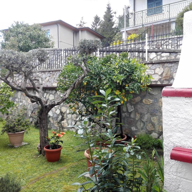Appartamento Golfo dei Poeti - Appartamento - 19
