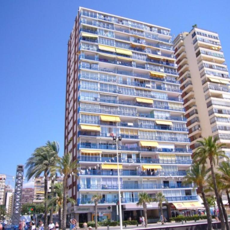 Las Palmeras III- Fincas Arena - Estudio - 13