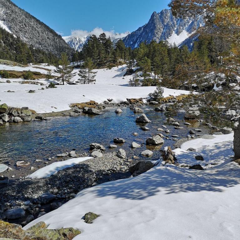 Duplex spacieux avec vue montagne au cœur de Cauterets, 6 à 8 pers, 3 chambres, 2 SDB - Appartement avec Vue sur la Montagne - 60