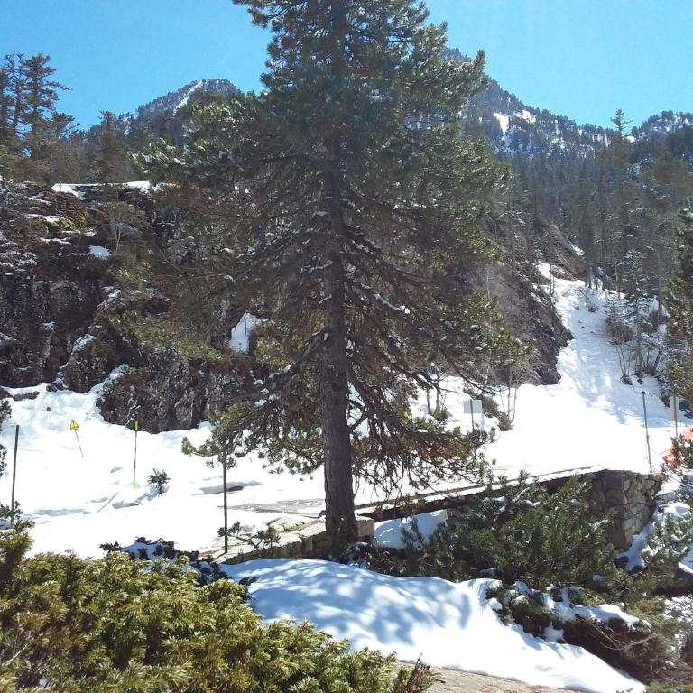 Duplex spacieux avec vue montagne au cœur de Cauterets, 6 à 8 pers, 3 chambres, 2 SDB - Appartement avec Vue sur la Montagne - 62