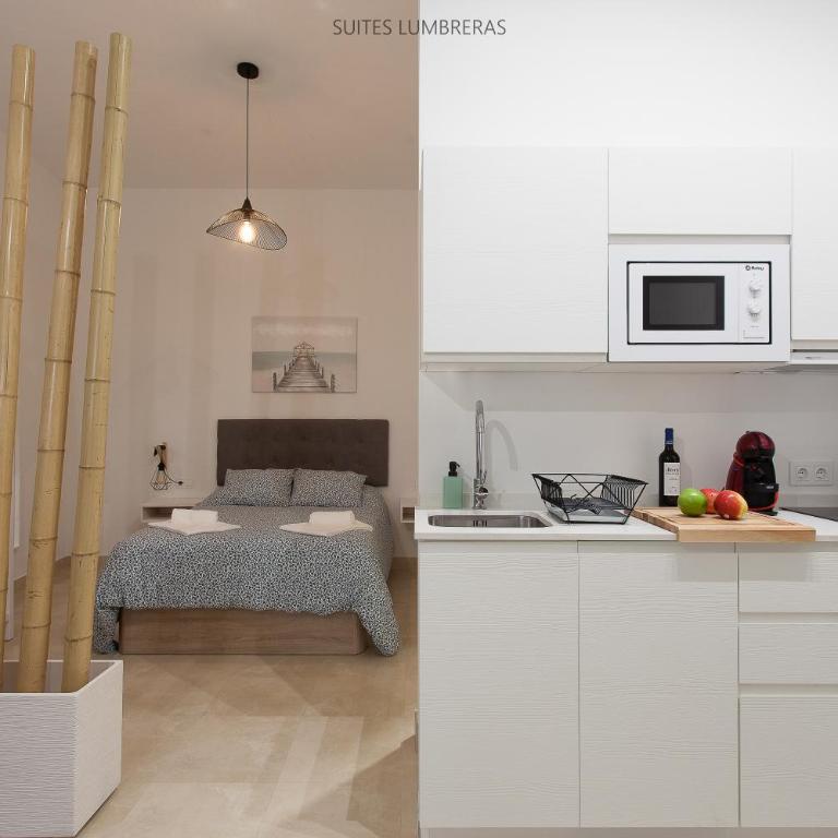 Suites Lumbreras - Apartamento Deluxe de 1 dormitorio - 4