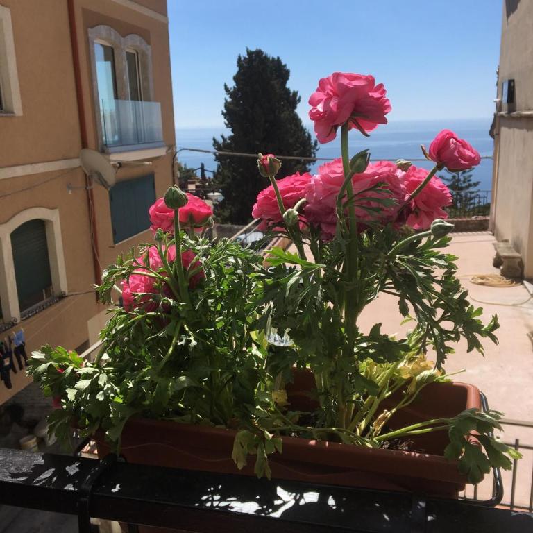B&B Antonella - Camera Matrimoniale Deluxe con Balcone - 21
