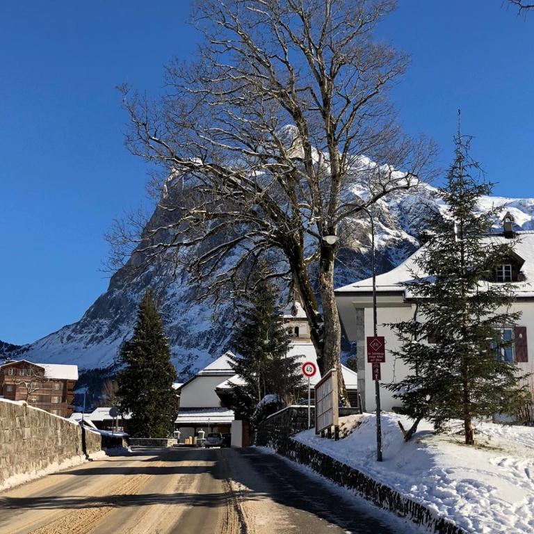 Chalet CARVE - Apartments EIGER, MOENCH and JUNGFRAU - Apartment mit 2 Schlafzimmern - 17