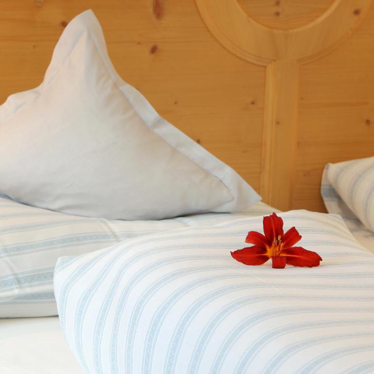 Pension Talblick - Monolocale con Balcone - 3