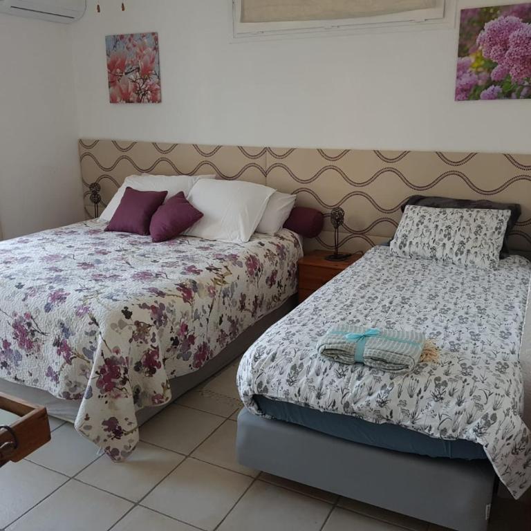 chambre d'hôtes Villa Côte Vermeille - Chambre Double avec Salle de Bains Privative - 6