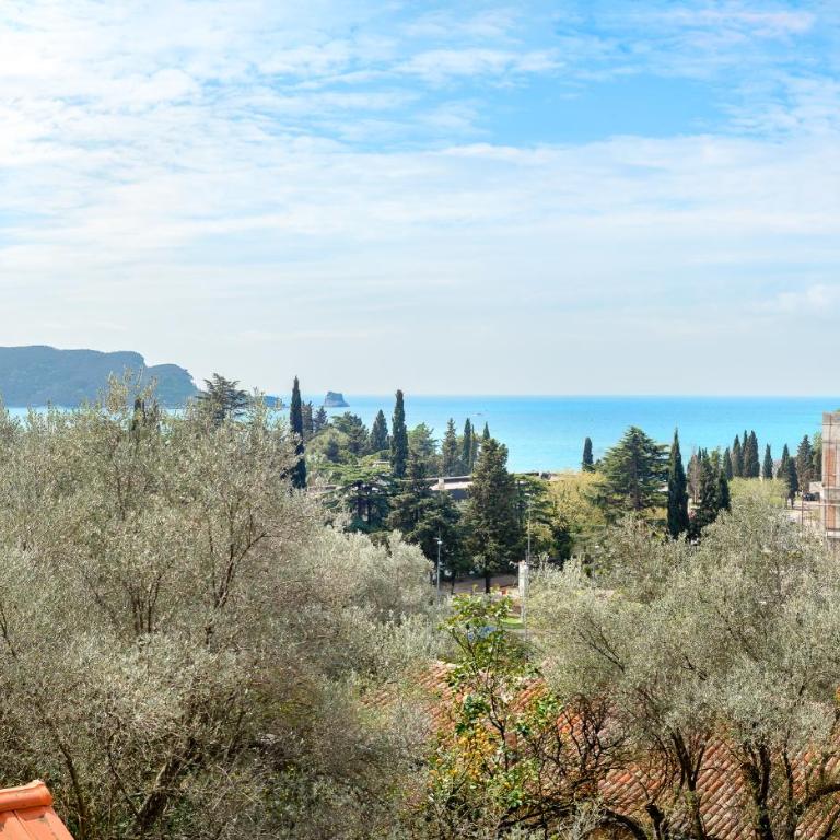 Villa Milana Budva - Vila - 24