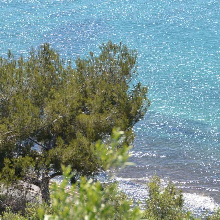 Villa Ca' Bianca - Two-Bedroom Apartment - 16