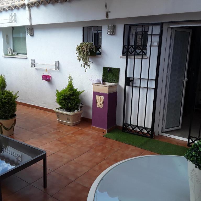 ESTUDIO FABIOLA CENTRO 12-MA - Estudio con terraza - 2