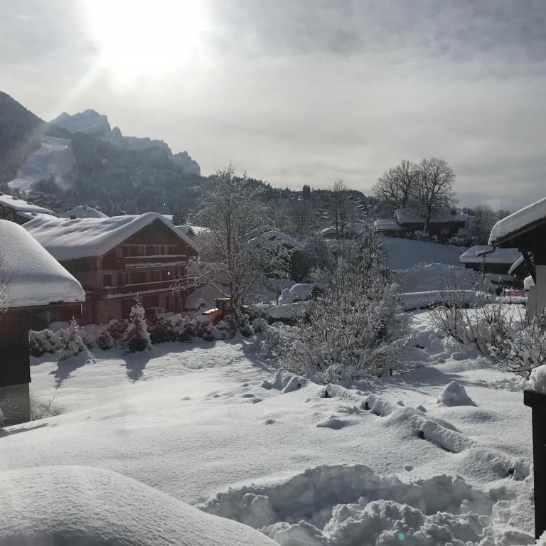 Chalet Cyclamens, 65m2 plein centre - Jardin, WIFI & parking! - Apartment - 20