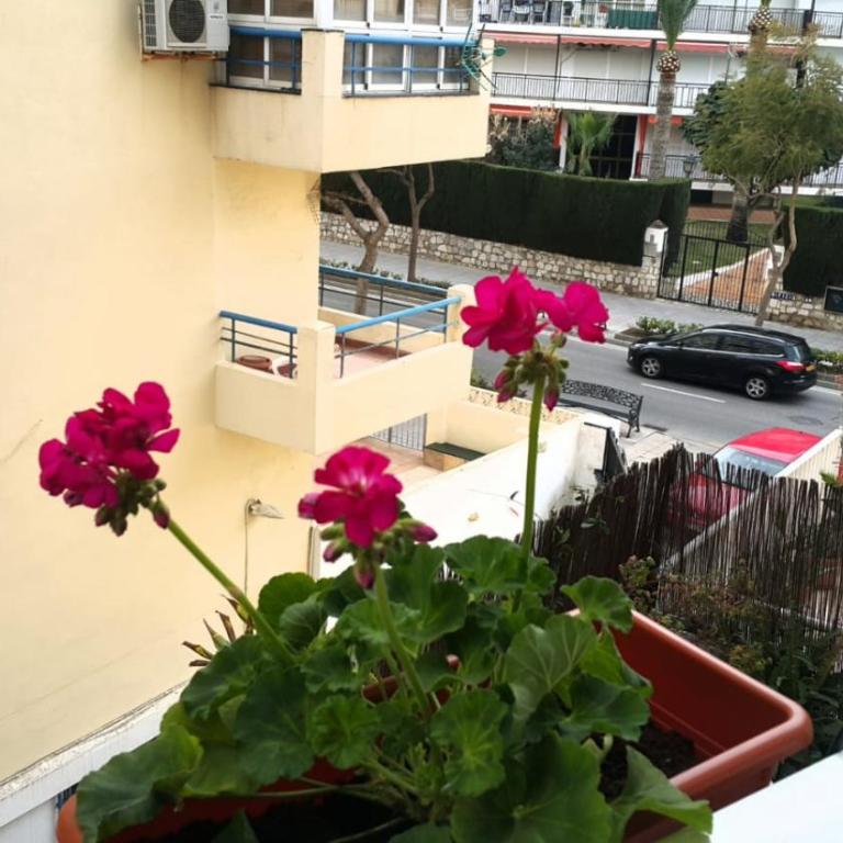 Apartamento Tango - Apartamento de 1 dormitorio - 18