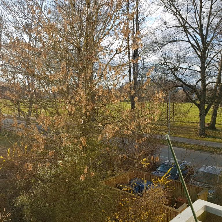 Wohnung Seerose - Appartamento con Vista Giardino - 19
