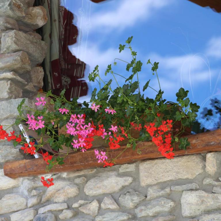 La casa di nonno "cien" - Appartamento con Vista Montagna - 6