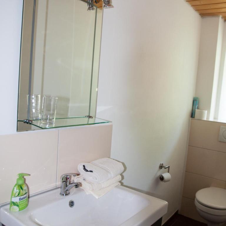 Almbauernhof - Apartment mit 2 Schlafzimmern - 1