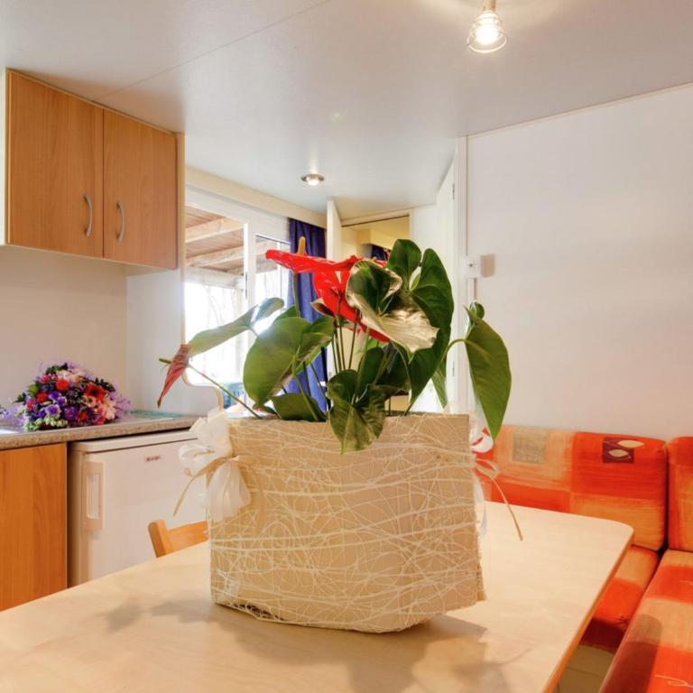 Mobile Home in Cesenatico by Adriatic Sea - Chalet con 2 Camere da Letto - 32