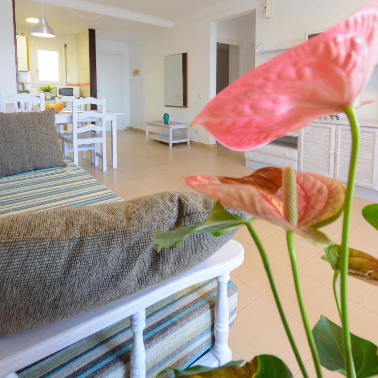 Guardamar playa - Apartamento - 9