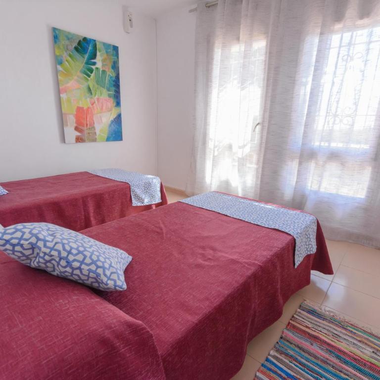 Guardamar playa - Apartamento - 14