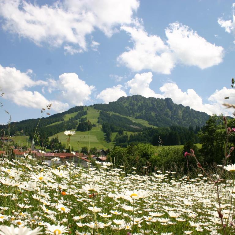 Berghoteltirol - Studio mit Balkon - 4