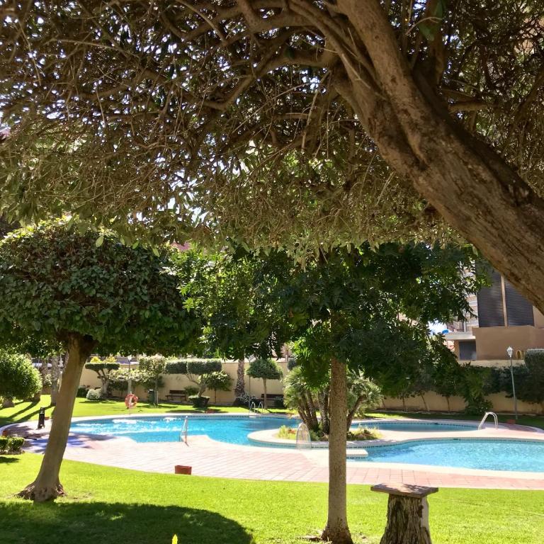Torpa - Aloturin Benidorm - Apartamento de 1 dormitorio - 13