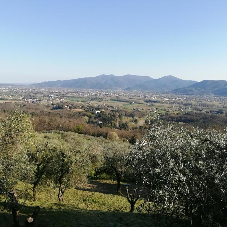 Villa Casetta - Villa con Piscina Privata - 3