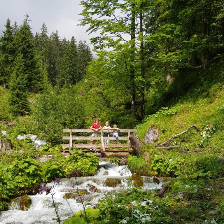 Haus Sonnleiten - Apartment mit Blick auf die Berge - 12