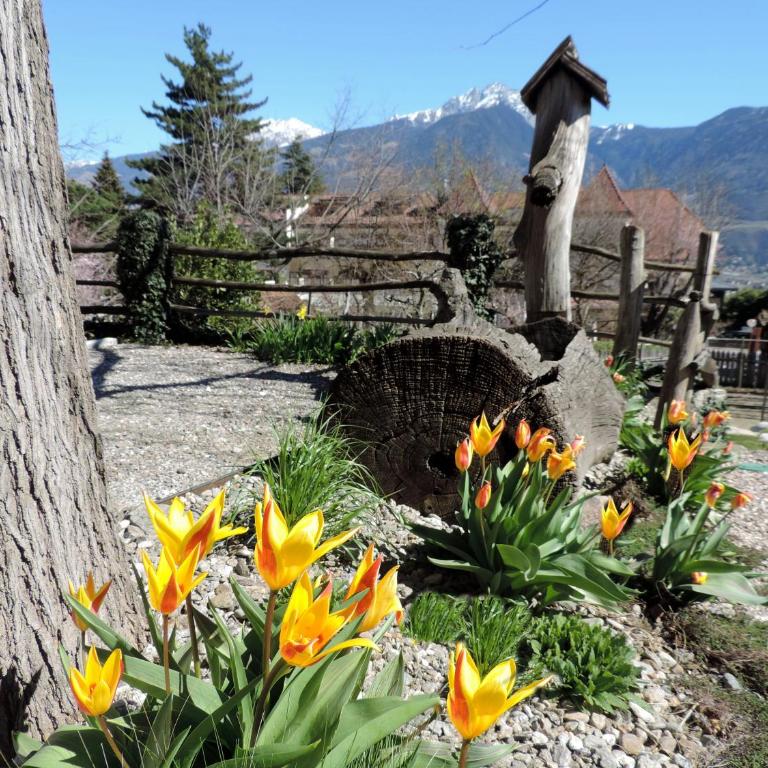 Family Apartment Bacchus - Appartamento con Vista Montagna - 34