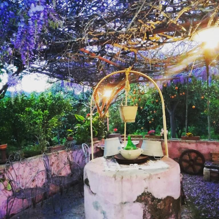 Lumia e Zagara - Vacation Home - 4