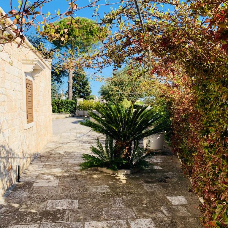 I Trulli Di Badi - Camera Deluxe - 2