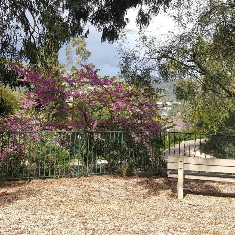 Domaine de la pinède Le Lavandou Pramousquier - Appartement 2 Chambres - 16