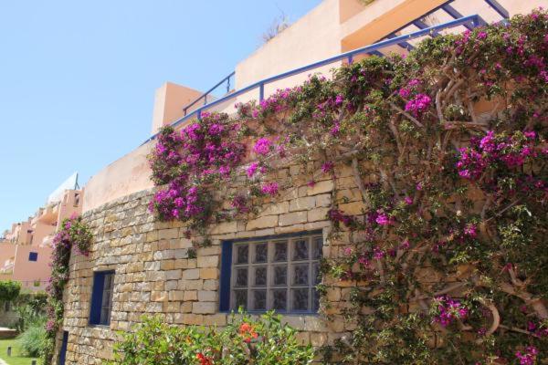 Atalaya Graceful - Apartamento de 2 dormitorios - 48
