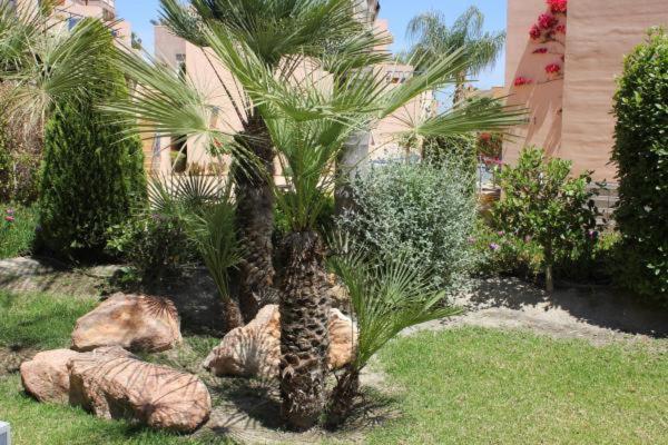 Atalaya Graceful - Apartamento de 2 dormitorios - 39