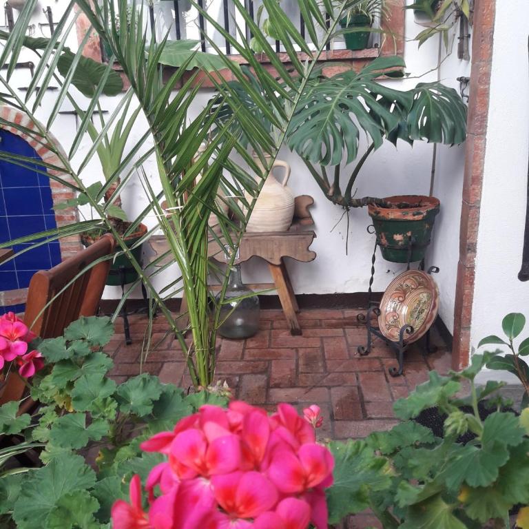 Casa Museo Jerez Centro - Apartamento de 1 dormitorio - 53