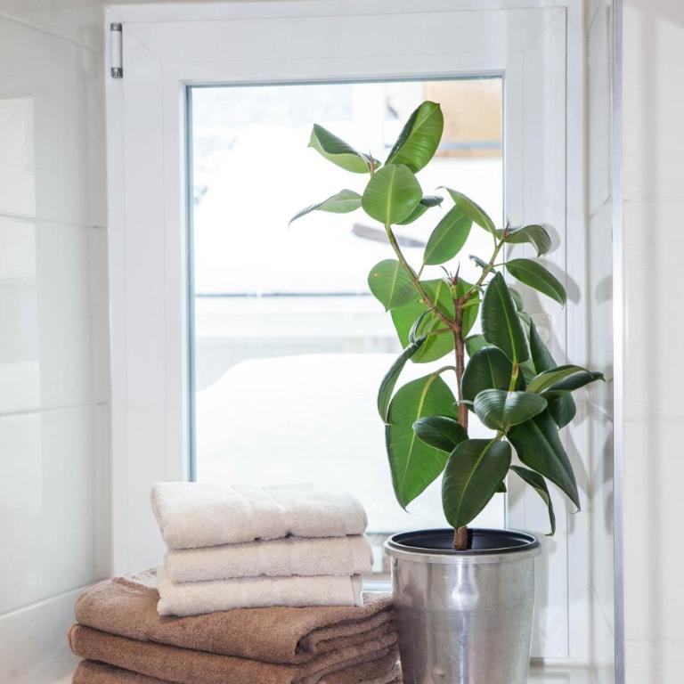 Ferienhaus Butterfly - Apartment mit 1 Schlafzimmer - 19