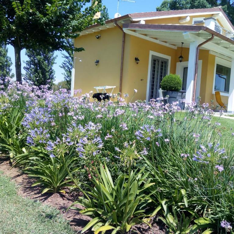 Villa la casa di Siro - Villa con Vista Giardino - 35