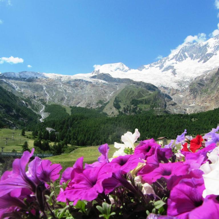 Hotel Bristol - Doppelzimmer mit Bergblick - 7