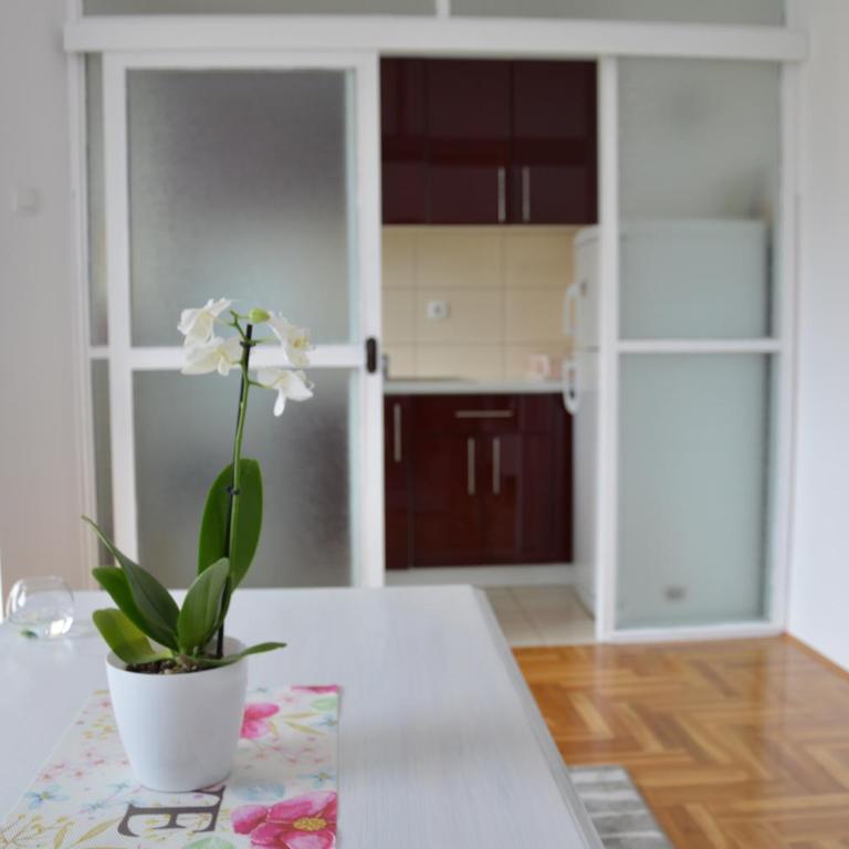 Apartman Biser - Apartman sa 1 Spavaćom Sobom - 4