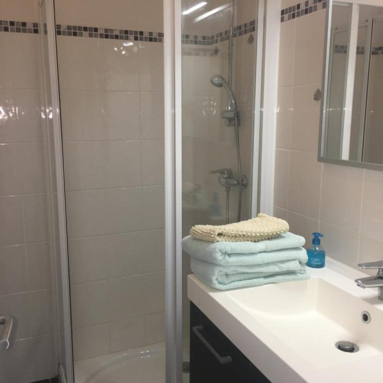 Pieds dans l'eau au lac du Bourget - Apartment mit 1 Schlafzimmer - 25
