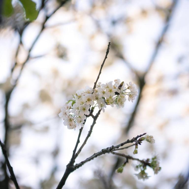 Apartmani Tripović - Apartman sa 3 Spavaće Sobe, Pogledom na More i Balkonom - 19