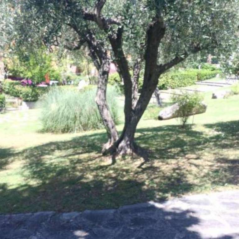 la casa del pittore Anna house - Appartamento con 1 Camera da Letto - 38
