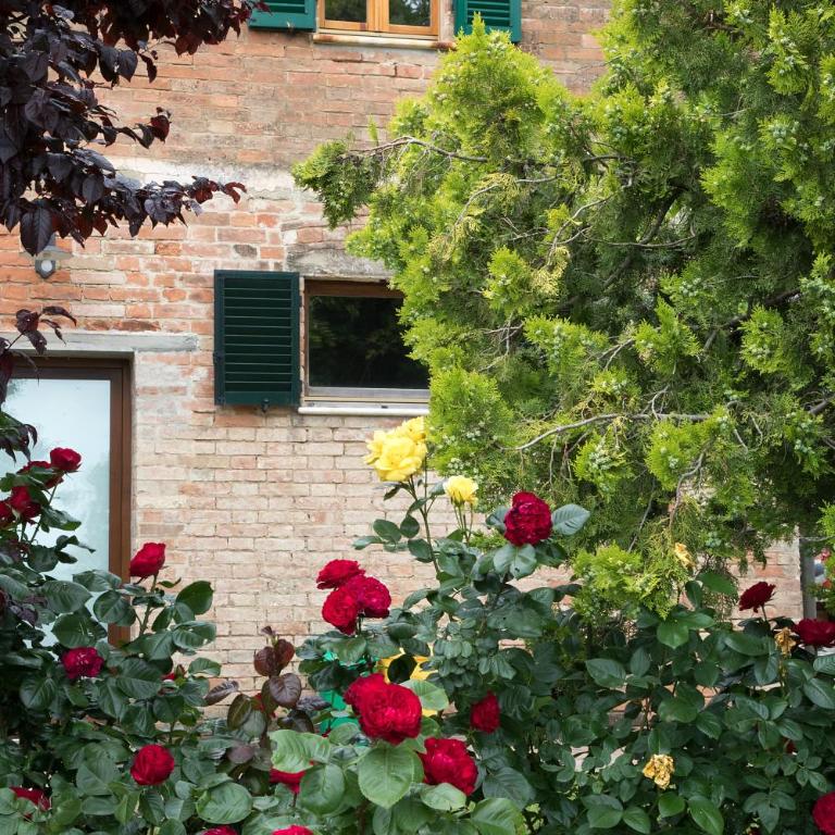 Podere Casanova & Wine Experience - Montepulciano - Appartamento con 1 Camera da Letto - 12