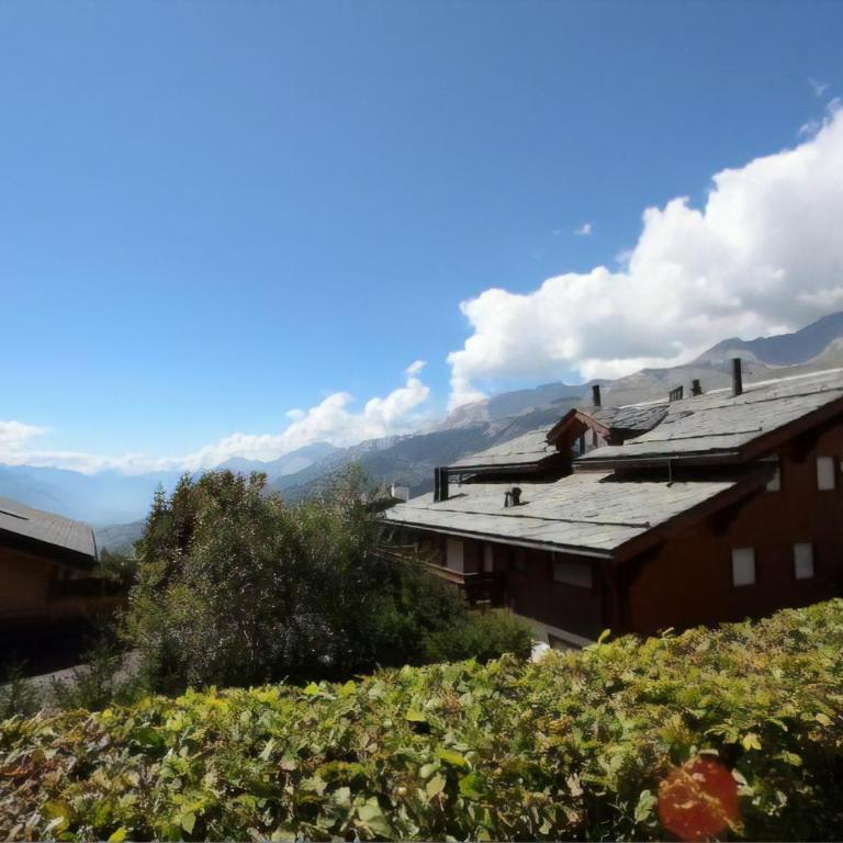 Apartment with Garden Daltons 1 - Chalet 1 Chambre - 29