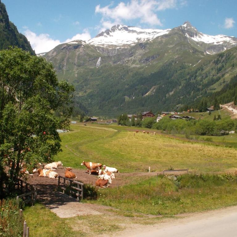 Riepleralm - Ferienhaus - 17