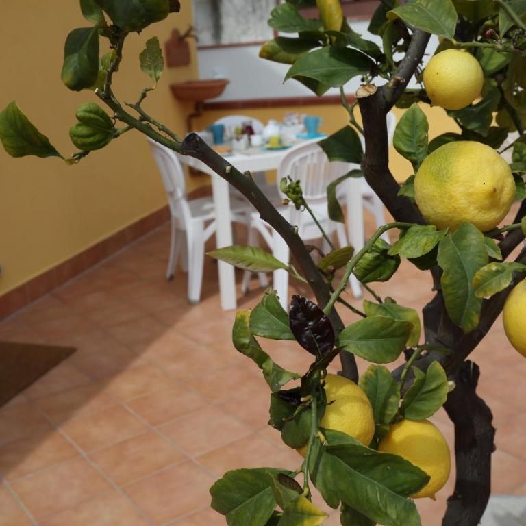 La Cartolina Apartment - Appartamento con Terrazza - 29