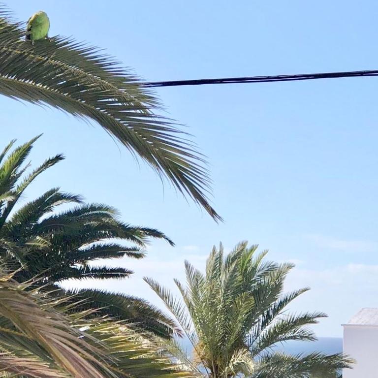 Apt BARLOVENTO. Near the beach - Apartamento de 1 dormitorio - 2