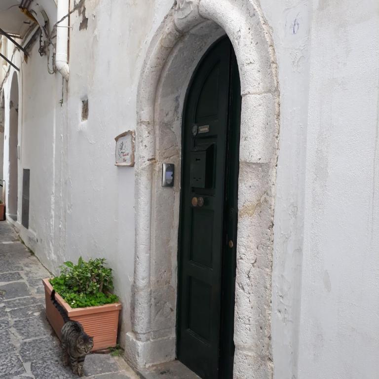 Cupido Art House Amalfi - Appartamento con 1 Camera da Letto - 9