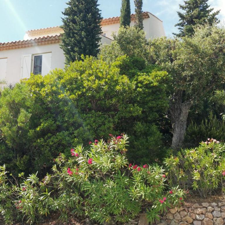 Les Myrtes - Villa - Vue sur Mer - 19