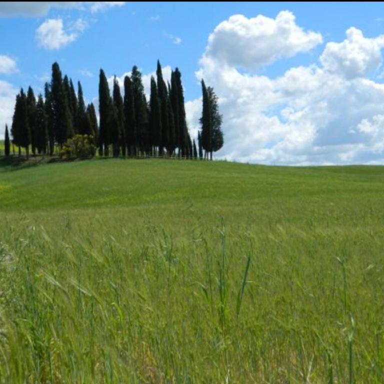 Cordella In Valdorcia Truffle and Olive Oil Resort - Superior Suite mit Kingsize-Bett - 10